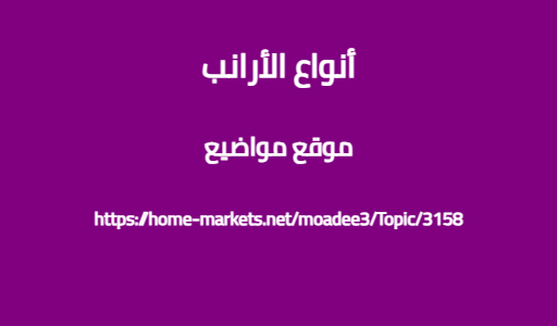 أنواع الأرانب