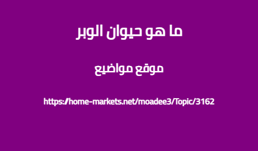 ما هو حيوان الوبر