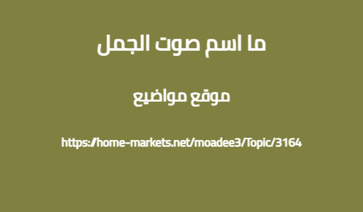 ما اسم صوت الجمل
