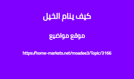 كيف ينام الخيل