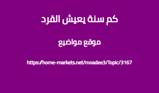 كم سنة يعيش القرد
