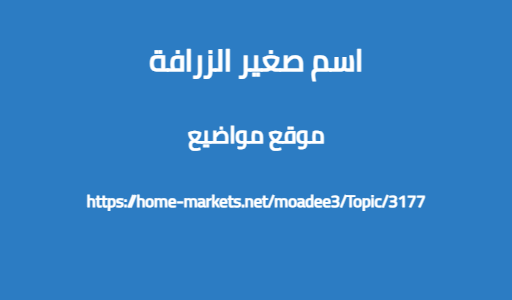 اسم صغير الزرافة