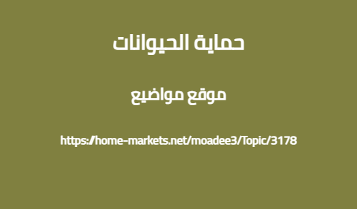 حماية الحيوانات