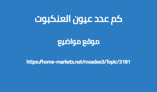 كم عدد عيون العنكبوت