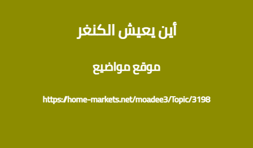 أين يعيش الكنغر