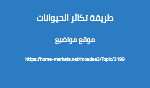 طريقة تكاثر الحيوانات