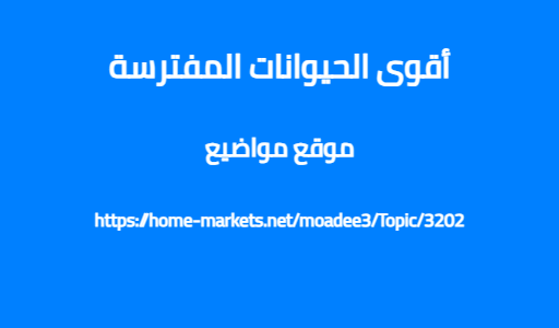 أقوى الحيوانات المفترسة