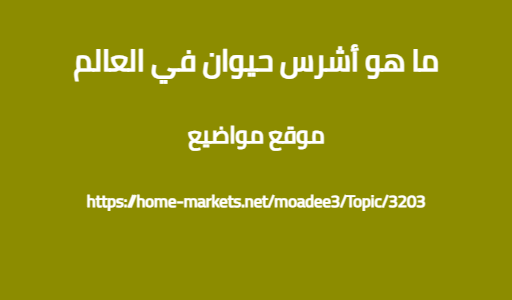 ما هو أشرس حيوان في العالم