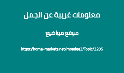 معلومات غريبة عن الجمل