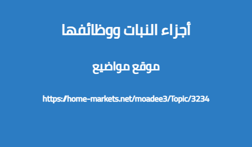 أجزاء النبات ووظائفها