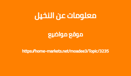 معلومات عن النخيل