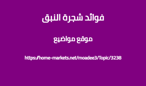 فوائد شجرة النبق