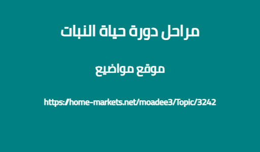 مراحل دورة حياة النبات