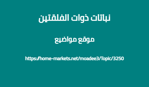 نباتات ذوات الفلقتين