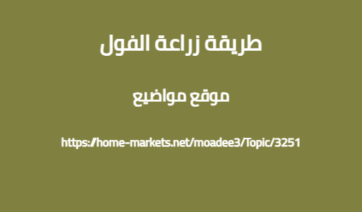 طريقة زراعة الفول