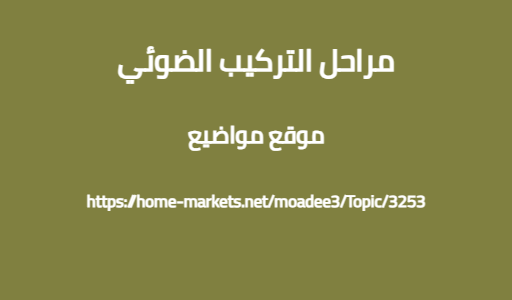 مراحل التركيب الضوئي