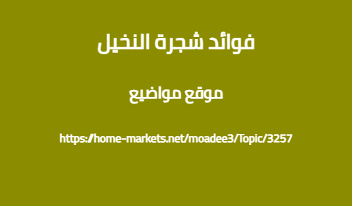 فوائد شجرة النخيل