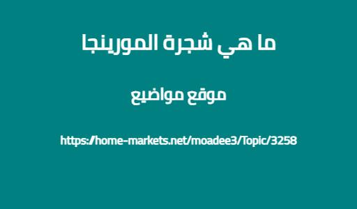 ما هي شجرة المورينجا