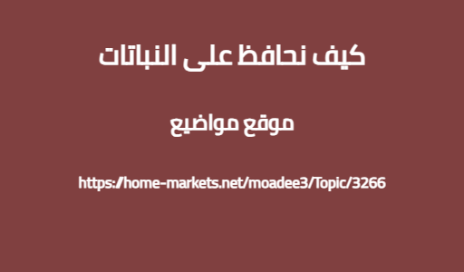 كيف نحافظ على النباتات
