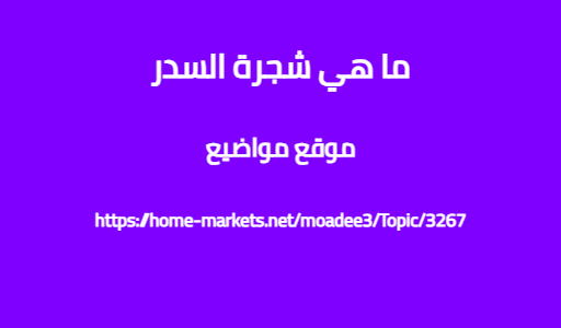 ما هي شجرة السدر
