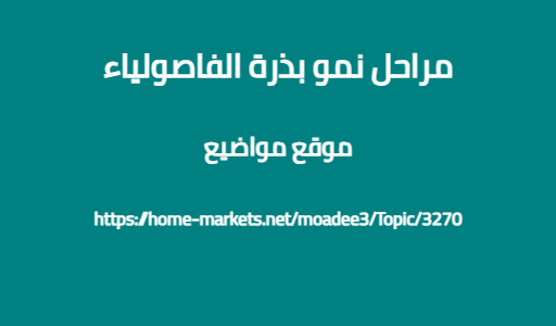 مراحل نمو بذرة الفاصولياء
