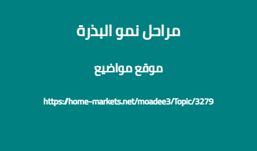 مراحل نمو البذرة