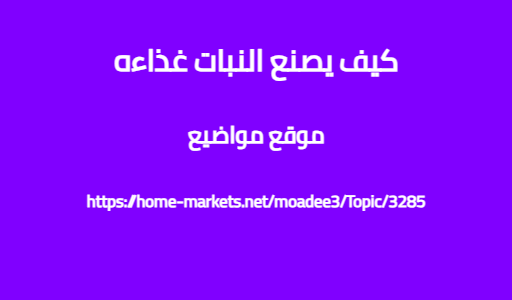 كيف يصنع النبات غذاءه