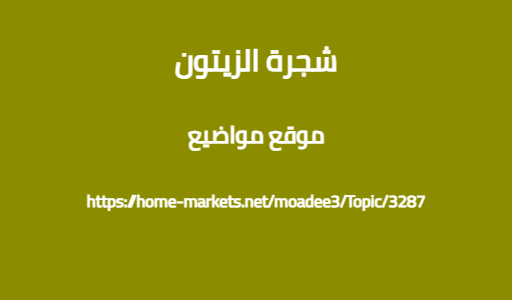 شجرة الزيتون