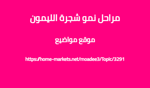 مراحل نمو شجرة الليمون