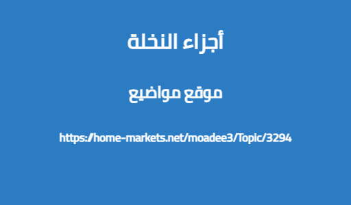 أجزاء النخلة