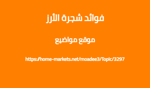 فوائد شجرة الأرز