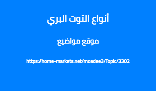 أنواع التوت البري