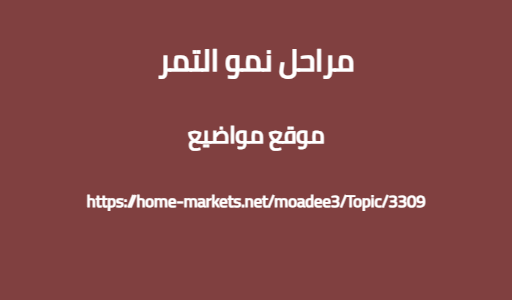 مراحل نمو التمر