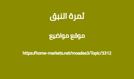 ثمرة النبق