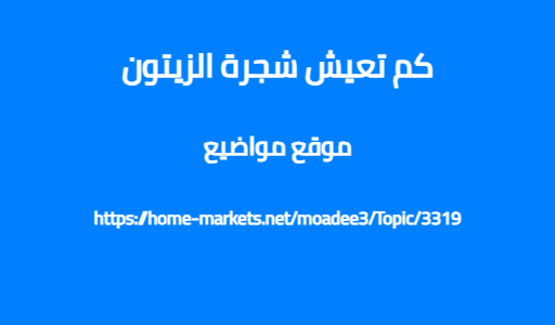 كم تعيش شجرة الزيتون