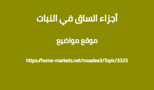 أجزاء الساق في النبات