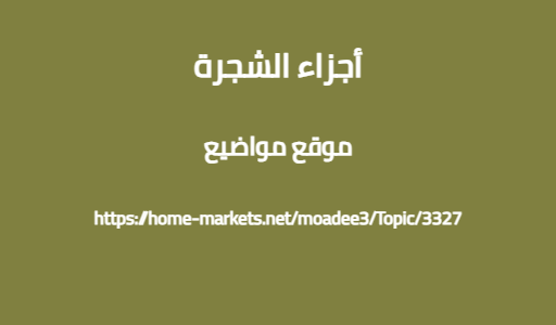 أجزاء الشجرة