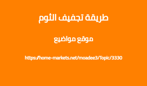 طريقة تجفيف الثوم