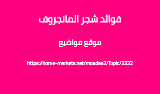 فوائد شجر المانجروف