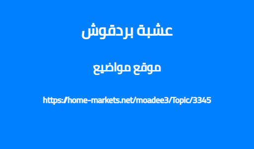 عشبة بردقوش
