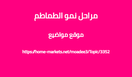 مراحل نمو الطماطم