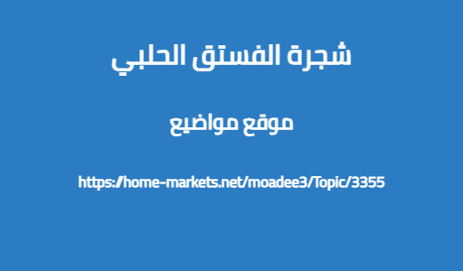 شجرة الفستق الحلبي