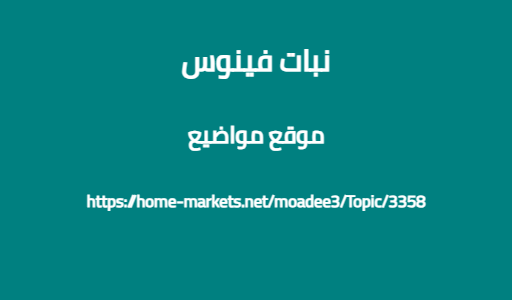 نبات فينوس