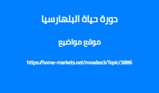 دورة حياة البلهارسيا