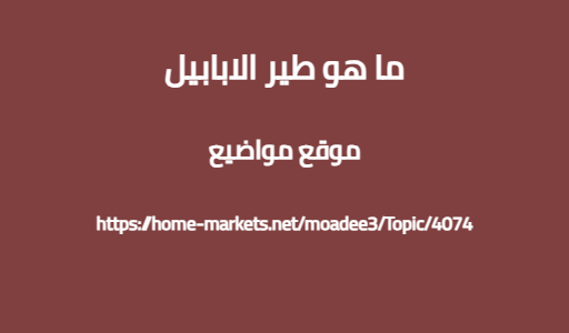 ما هو طير الابابيل