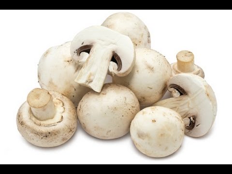 طرق عمل عيش الغراب